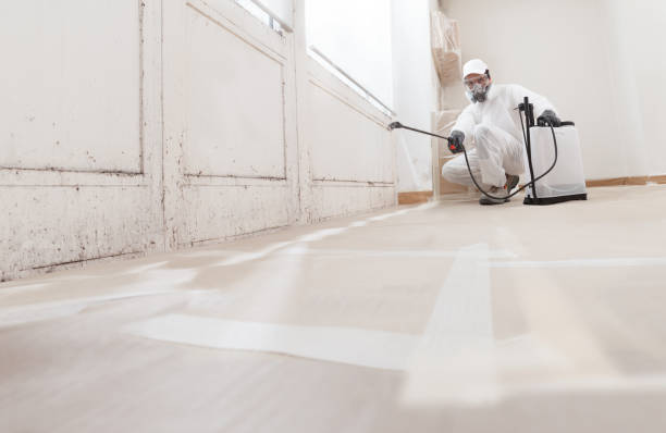 24/7 Emergency Mold Testing experts in Linden, NJ