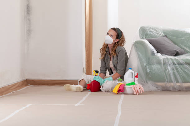 Trusted Attic Mold Removal service in Linden, NJ - Cheap Mold Removal