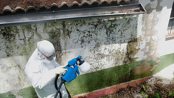 Trusted Mold Testing service in Linden, NJ - Cheap Mold Removal